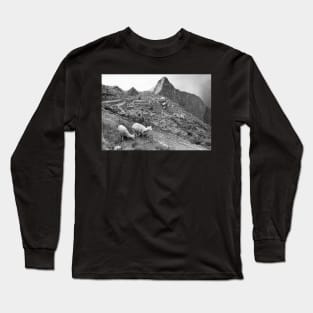 Vintage Llama at Machu Pichu Long Sleeve T-Shirt